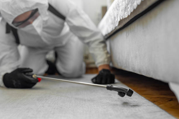 Professional Cockroach Control technician working in Holland, TX